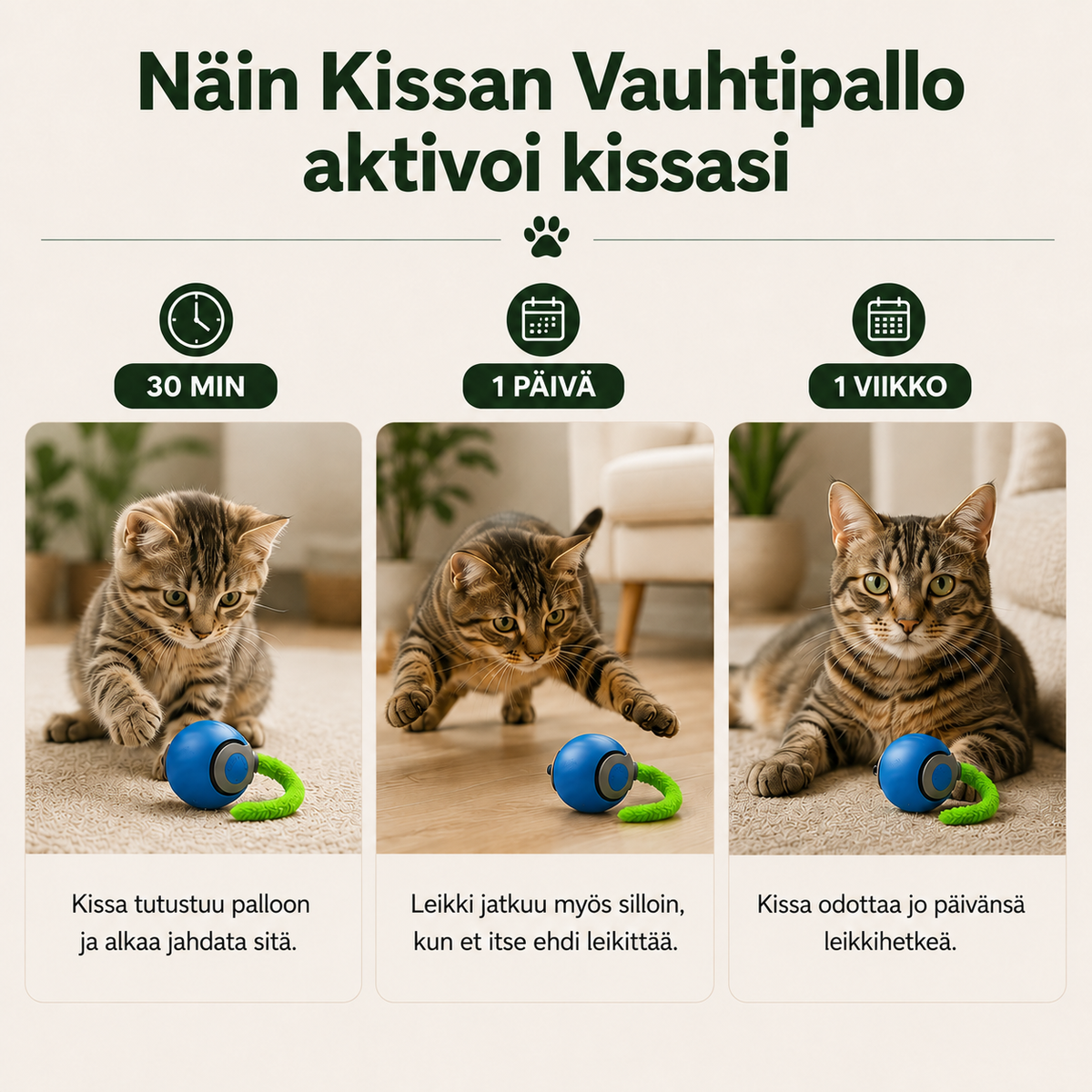 Kissan Vauhtipallo