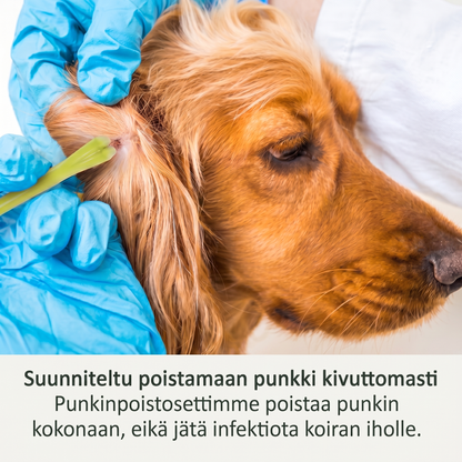 Nopea Punkinpoistosetti